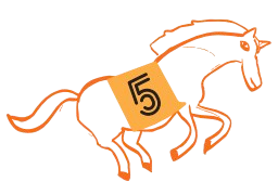 Race 5